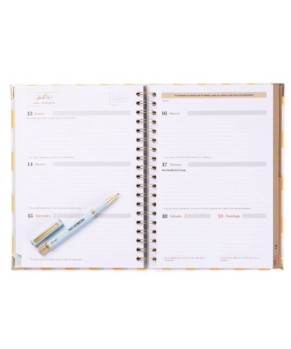 9978 Set de Agenda Office 2025-26 Semanal Extragrande + boli - No stress