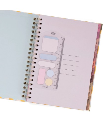 9982 Set de Agenda Office 2025-26 Semanal Extragrande + boli - No stress