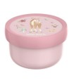 10068 Caja de fruta Campus Fairy Garden