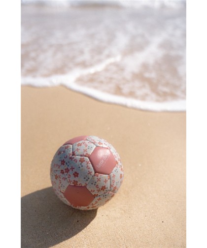 10079 Pelota Mini Rosa