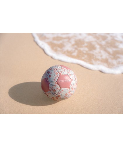 10080 Pelota Mini Rosa