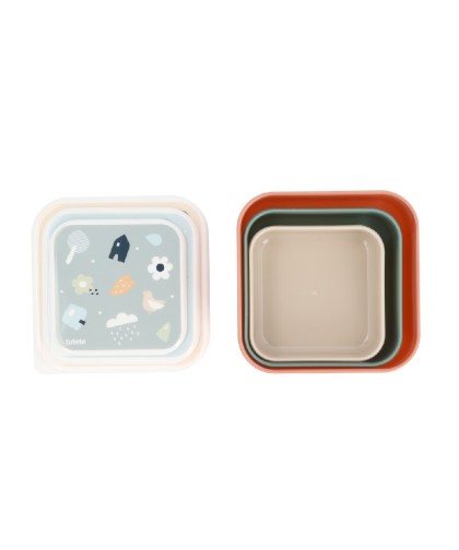 10139 3 Cajas Almuerzo Geometric Nature