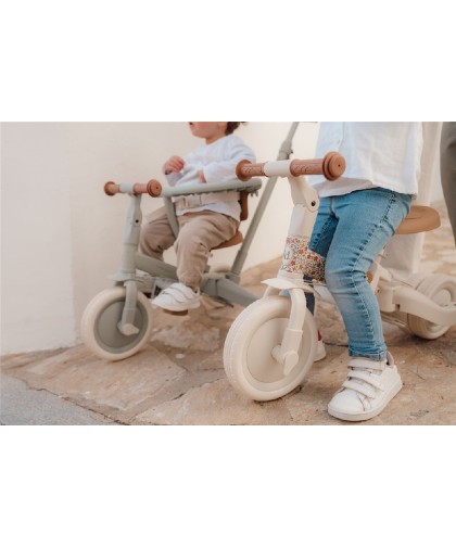 10144 Triciclo Con Barra Verde