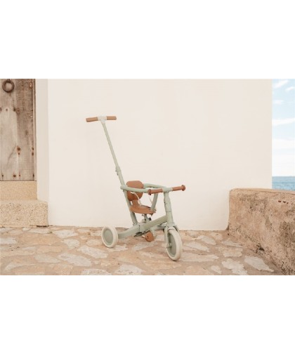 10145 Triciclo Con Barra Verde