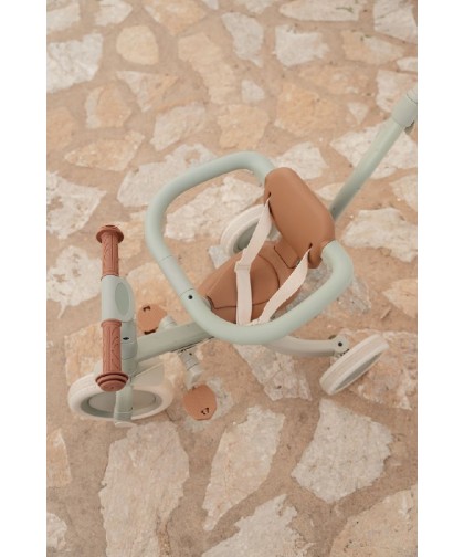 10146 Triciclo Con Barra Verde