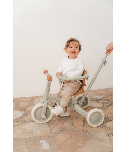 10149 Triciclo Con Barra Verde