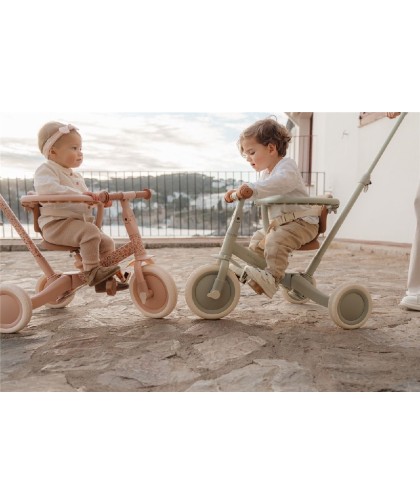 10154 Triciclo con Barra Rosa Flores