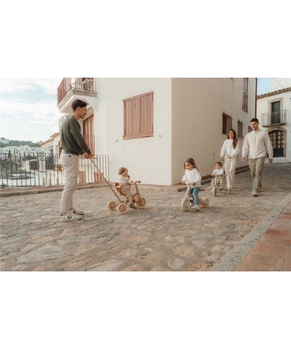 10155 Triciclo con Barra Rosa Flores