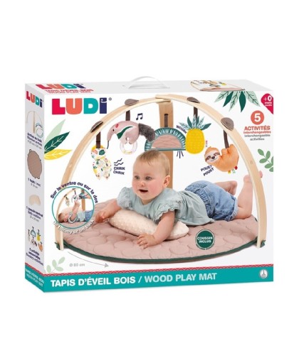 10461 Alfombra Arco de Madera