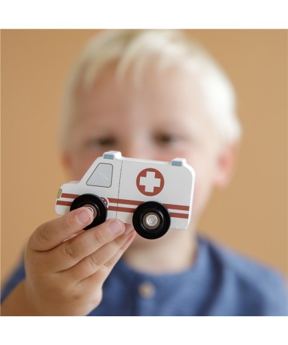 10773 9 Vehiculos, Sistema de Trenes