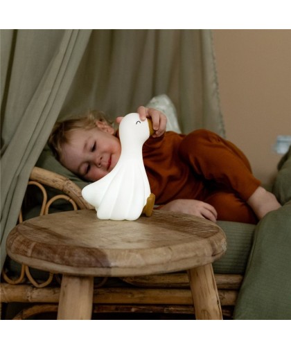 10779 Luz Compañia Oca