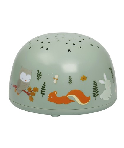 10886 Luz Proyector Zorro