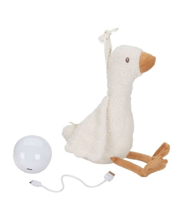 10889 Luz Compañia Musical Oca