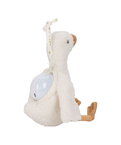 10890 Luz Compañia Musical Oca