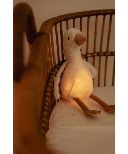 10893 Luz Compañia Musical Oca