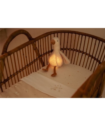 10894 Luz Compañia Musical Oca