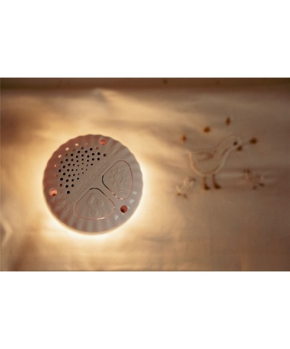 10896 Luz Compañia Musical Oca