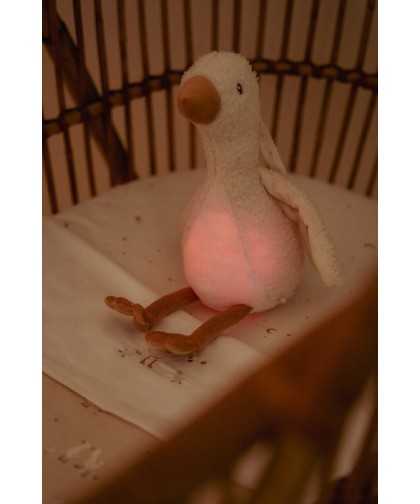 10897 Luz Compañia Musical Oca