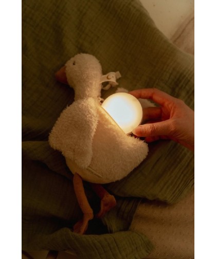 10898 Luz Compañia Musical Oca