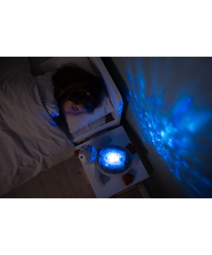 11417 Proyector Tranquil Penguin