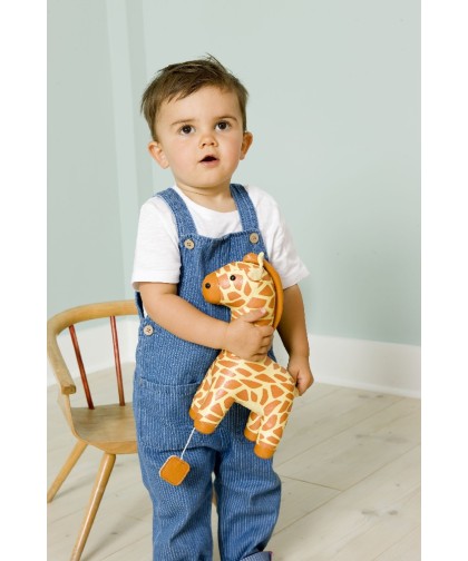 11689 Animales musicales - Gina la Jirafa