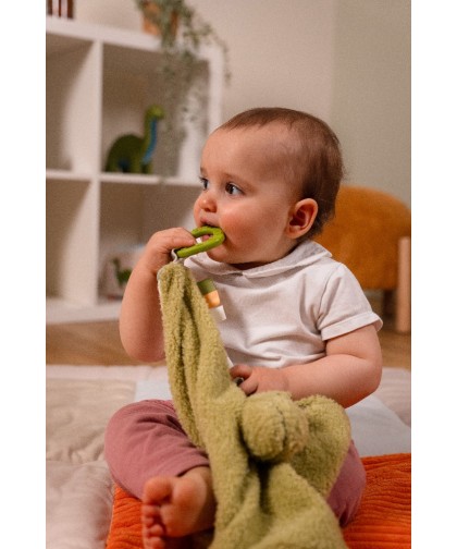 11853 Doudou - Rex el Tiranosaurio