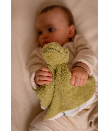 11854 Doudou - Rex el Tiranosaurio