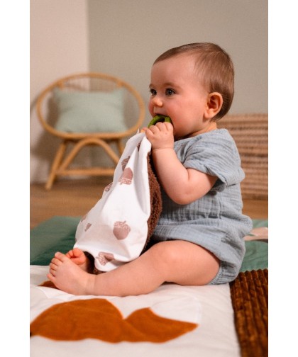 11860 Doudou- Bruch el Alce