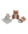 11894 Caja Regalo Forest Friends