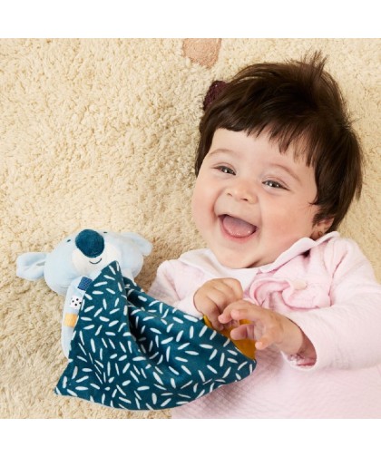 12413 Pack de regalo Koala