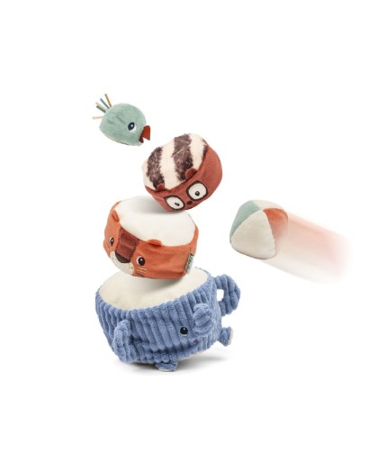 12451 Piramide de Sonidos