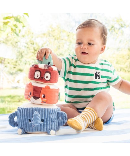 12452 Piramide de Sonidos