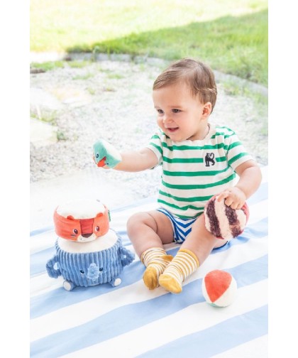 12453 Piramide de Sonidos