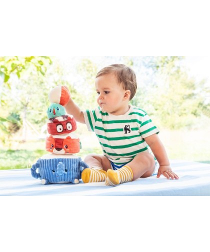 12455 Piramide de Sonidos