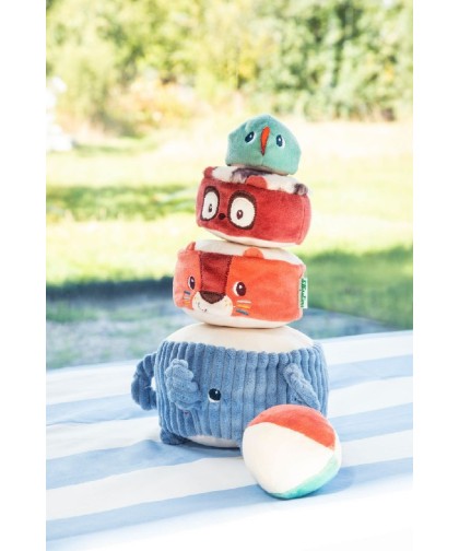 12459 Piramide de Sonidos