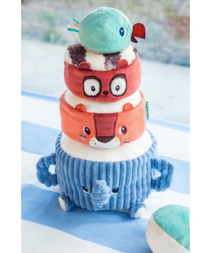 12461 Piramide de Sonidos