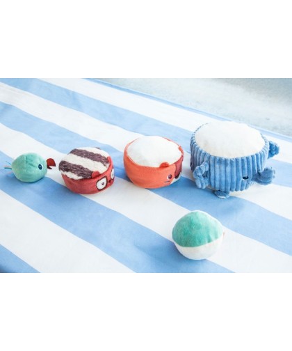 12463 Piramide de Sonidos