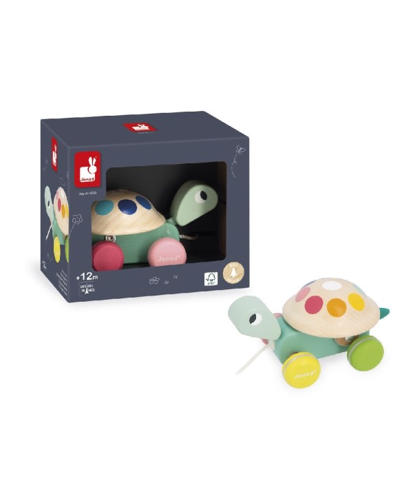 12712 Tortuga para Pasear