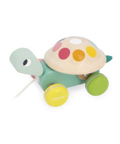 12713 Tortuga para Pasear