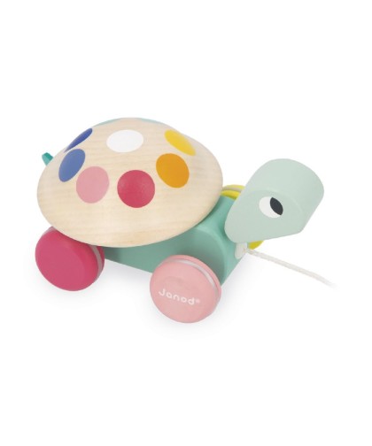 12714 Tortuga para Pasear