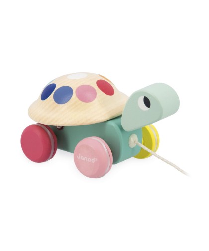 12715 Tortuga para Pasear