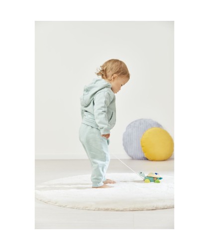 12717 Tortuga para Pasear