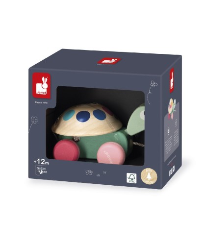 12719 Tortuga para Pasear