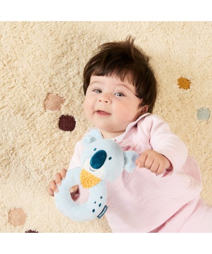 13162 Sonajero Koala