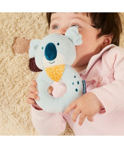 13163 Sonajero Koala