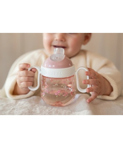 13334 Vaso Antiderrame 200ml Fairy Garden