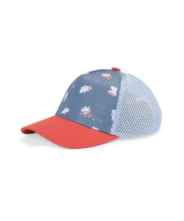 13487 Gorra Hippos