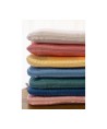 13583 Toalla Playa Microfibra Whale Teal