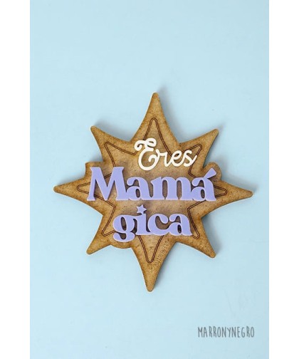 13737 Imán Mamágica