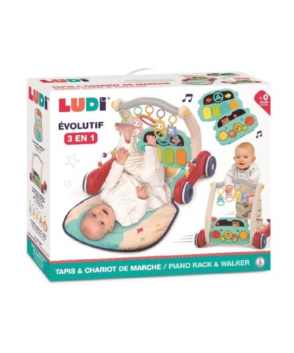 14052 Carrito y alformbra para caminar